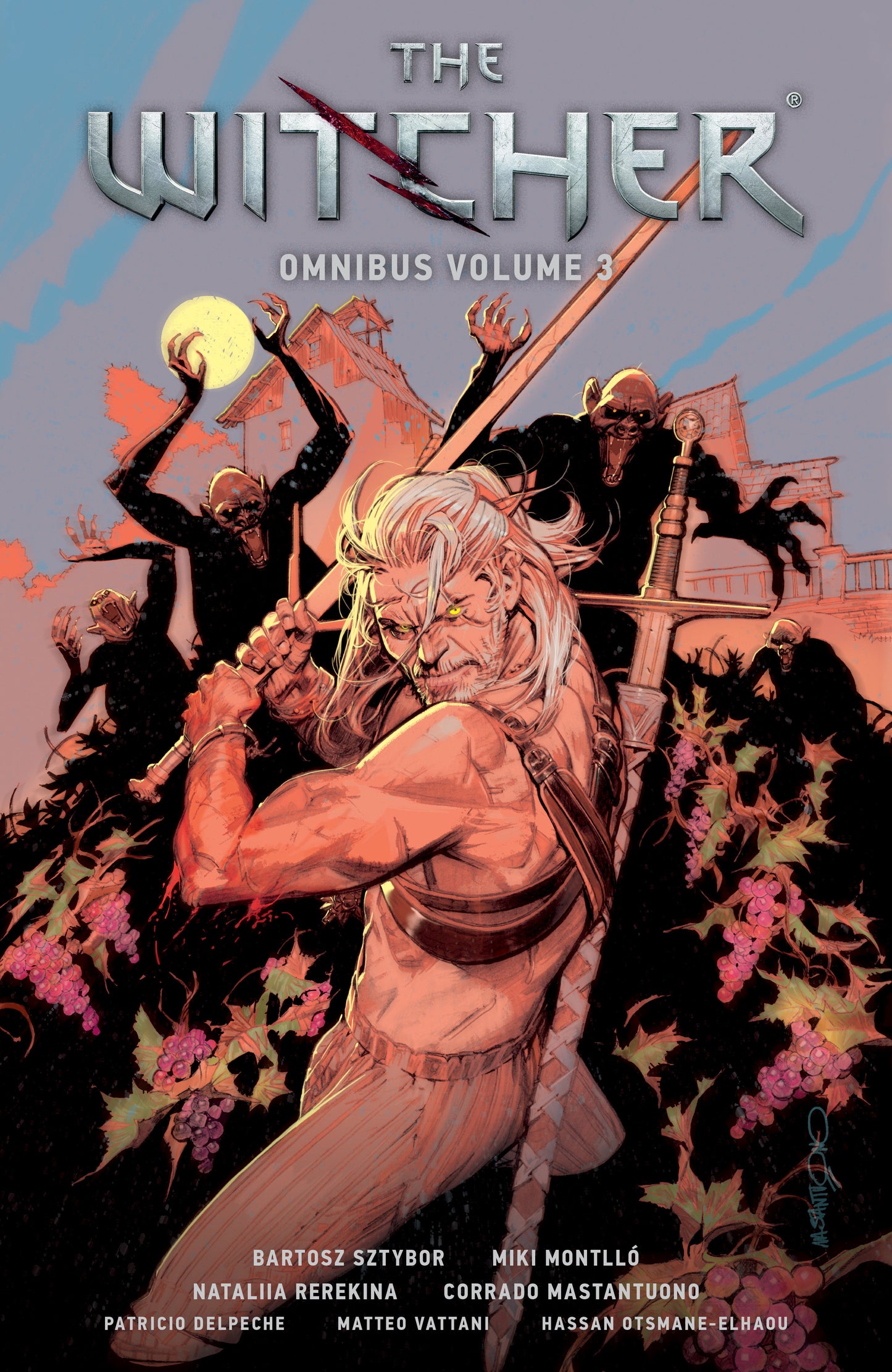 The Witcher Omnibus Volume 3