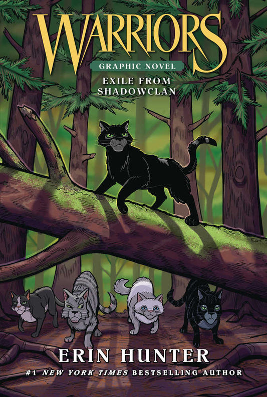 Warriors Exile From Shadowclan Softcover GN