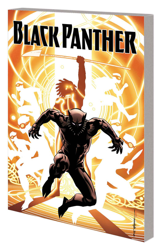 Black Panther Book 02 Nation Under Our Feet